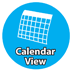 Calendar view